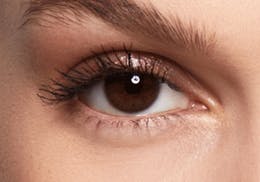 SWATI PEARL 6-MONTHS LENSES