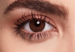 SWATI HONEY 6-MONTHS LENSES