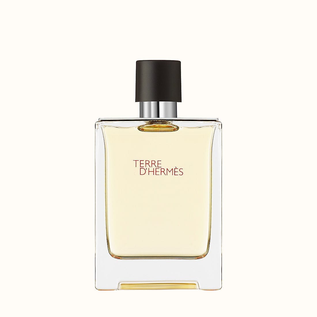 HERMES TERRE D'HERMES FOR MEN EDT (100mL) - Men