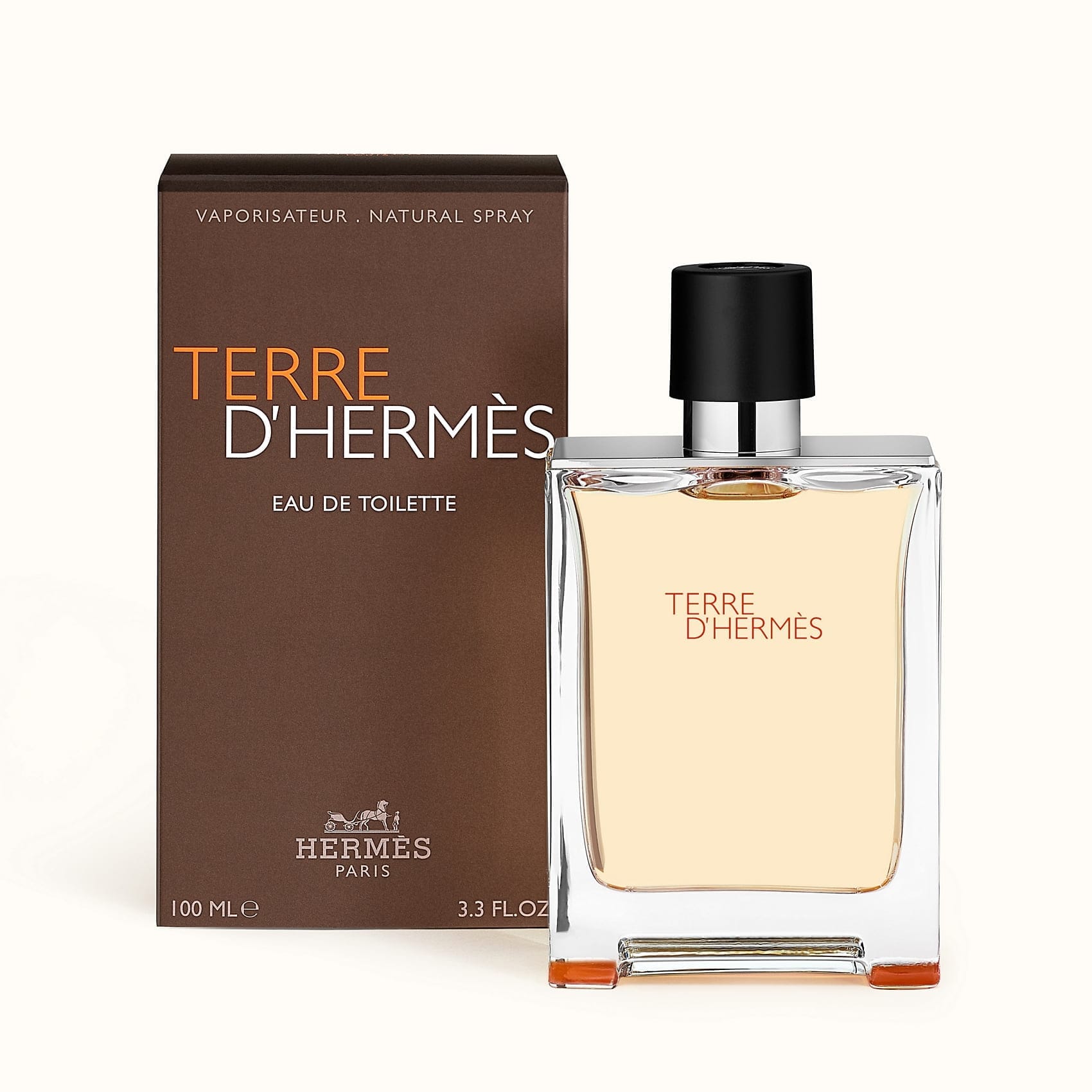 HERMES TERRE D'HERMES FOR MEN EDT (100mL) - Men